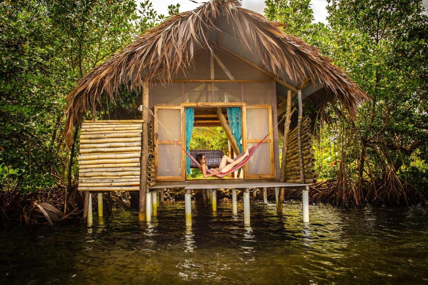 Cocovivo Hotel Bocas Town Bagian luar foto