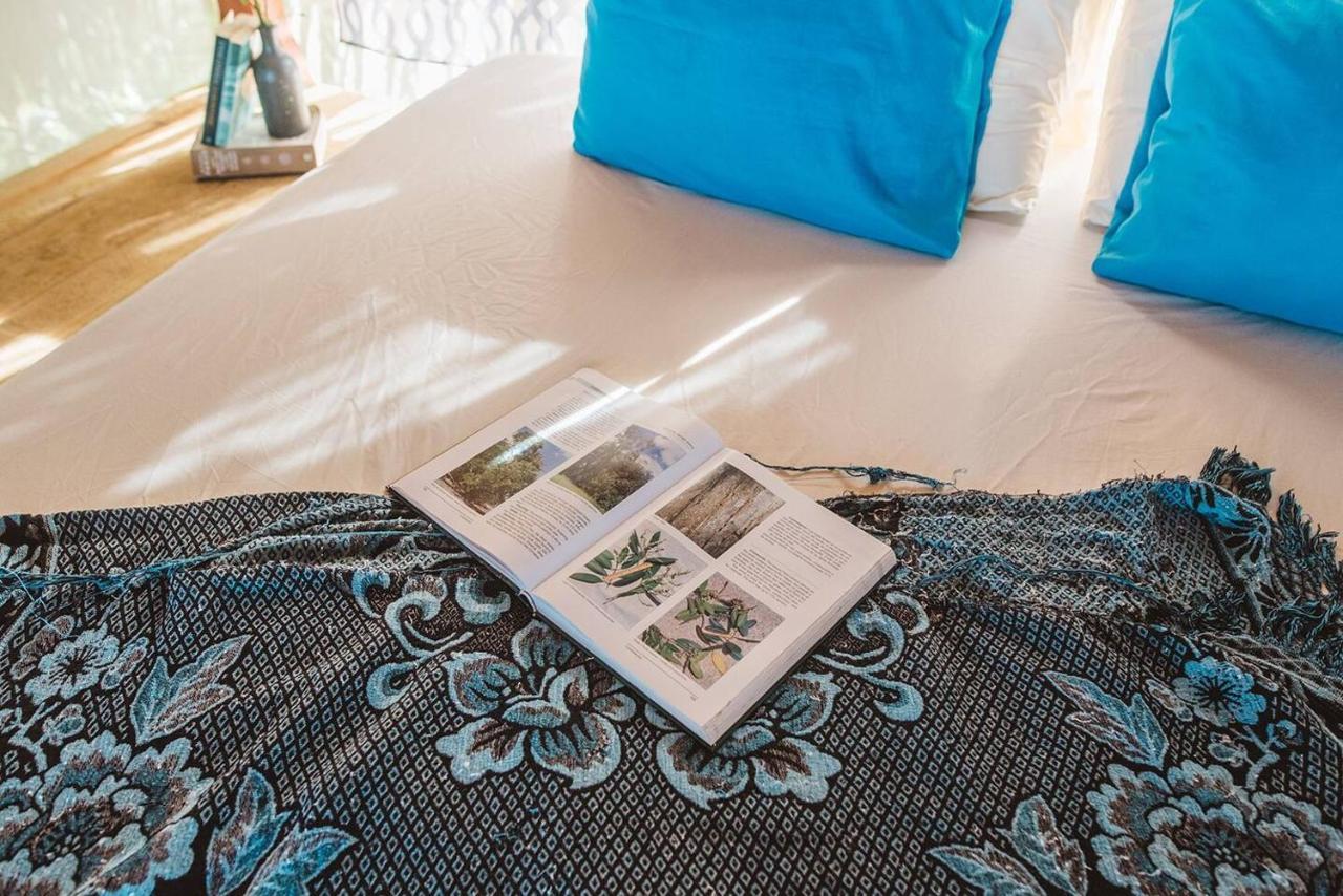 Cocovivo Hotel Bocas Town Bagian luar foto