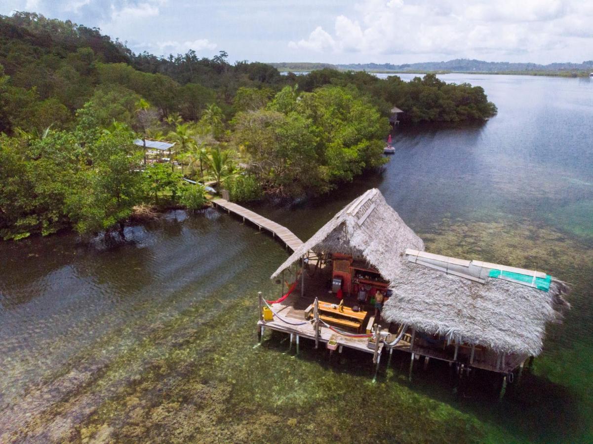 Cocovivo Hotel Bocas Town Bagian luar foto