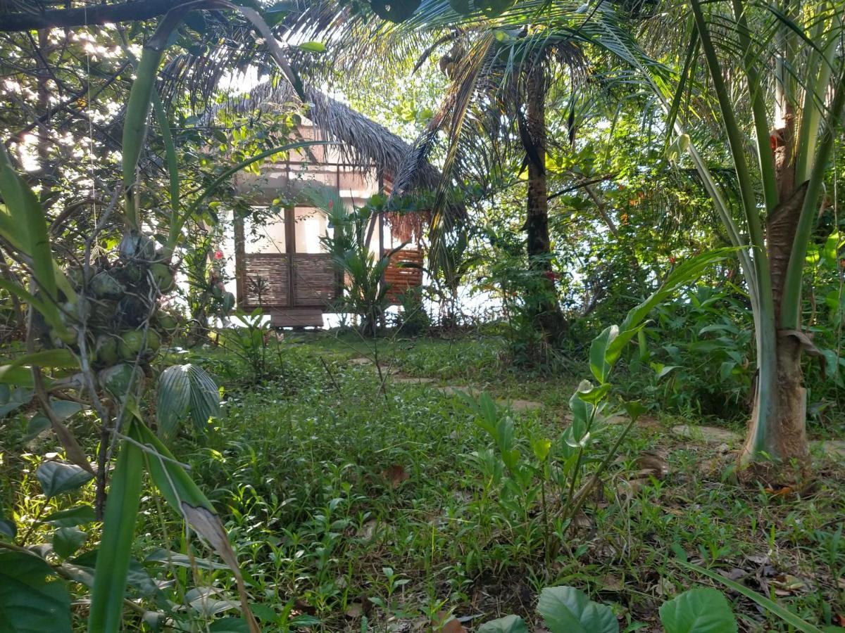 Cocovivo Hotel Bocas Town Bagian luar foto