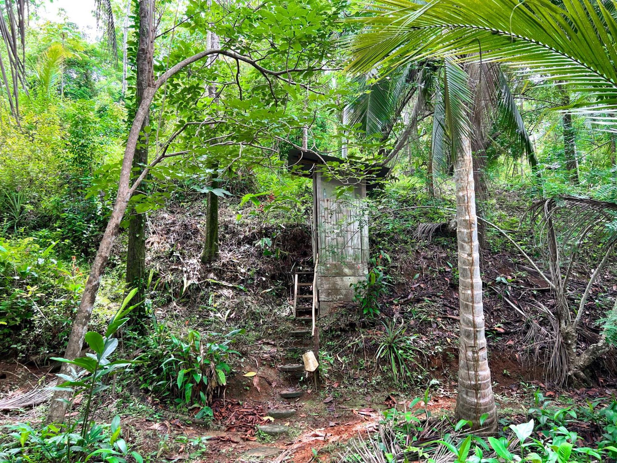Cocovivo Hotel Bocas Town Bagian luar foto