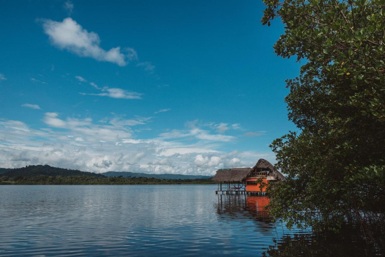 Cocovivo Hotel Bocas Town Bagian luar foto
